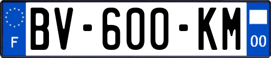 BV-600-KM