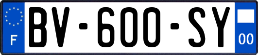 BV-600-SY