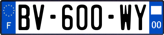 BV-600-WY