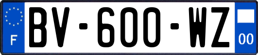 BV-600-WZ