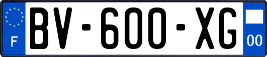 BV-600-XG