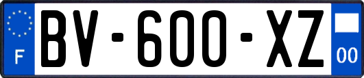 BV-600-XZ