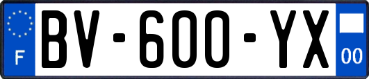 BV-600-YX