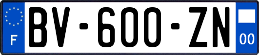 BV-600-ZN