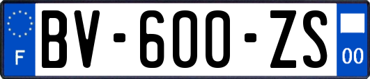 BV-600-ZS