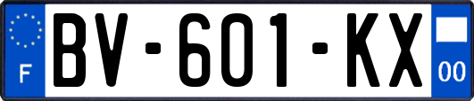 BV-601-KX