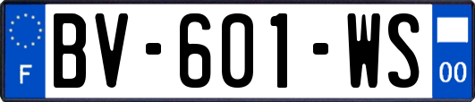 BV-601-WS