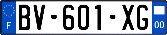 BV-601-XG