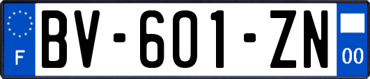 BV-601-ZN