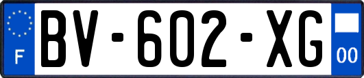 BV-602-XG