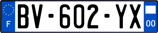 BV-602-YX