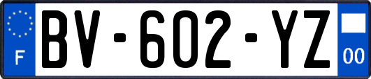 BV-602-YZ