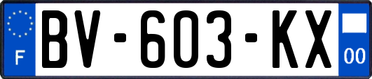 BV-603-KX
