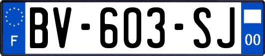 BV-603-SJ