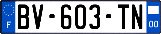 BV-603-TN