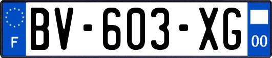 BV-603-XG
