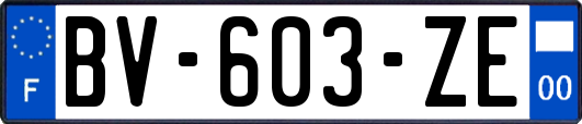 BV-603-ZE