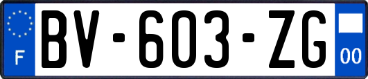 BV-603-ZG