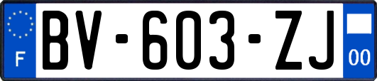 BV-603-ZJ