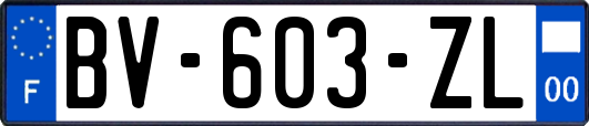 BV-603-ZL