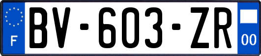 BV-603-ZR