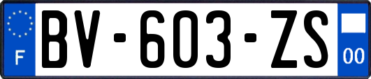 BV-603-ZS