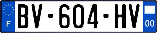 BV-604-HV