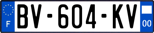 BV-604-KV
