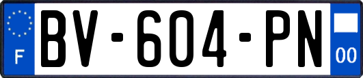 BV-604-PN