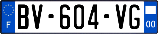 BV-604-VG