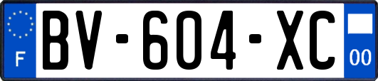BV-604-XC