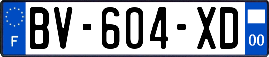 BV-604-XD