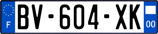 BV-604-XK