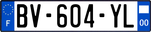 BV-604-YL