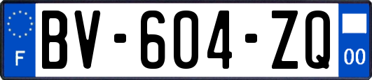 BV-604-ZQ