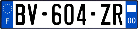 BV-604-ZR