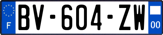 BV-604-ZW