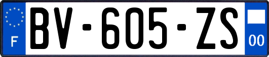 BV-605-ZS