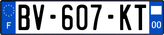 BV-607-KT