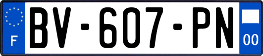 BV-607-PN