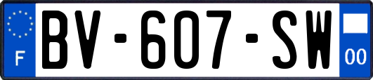 BV-607-SW