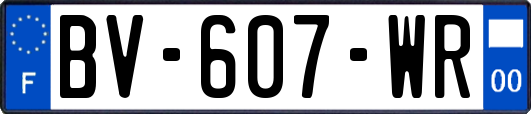 BV-607-WR