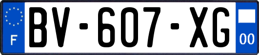 BV-607-XG