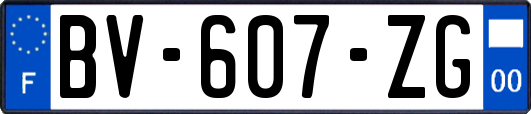 BV-607-ZG