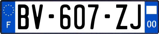 BV-607-ZJ