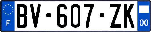 BV-607-ZK