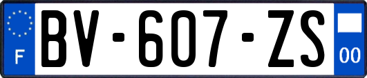 BV-607-ZS