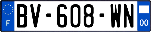 BV-608-WN