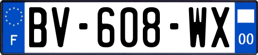 BV-608-WX