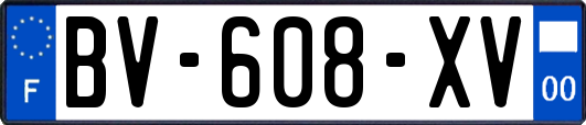 BV-608-XV